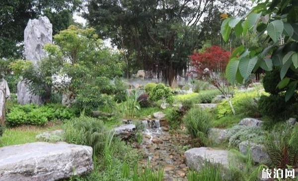 东莞植物园景点介绍 东莞植物园有什么好玩的