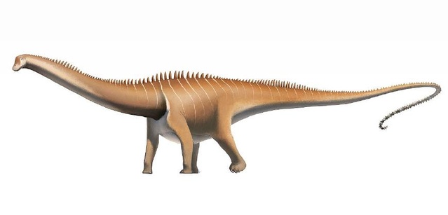 最大和最小的恐龙都有多大 世界10大最大的恐龙