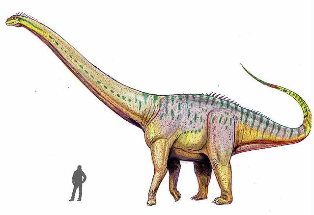 最大和最小的恐龙都有多大 世界10大最大的恐龙