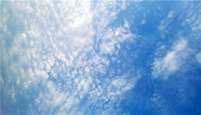 絮状云是什么云 絮状云是什么类型的云
